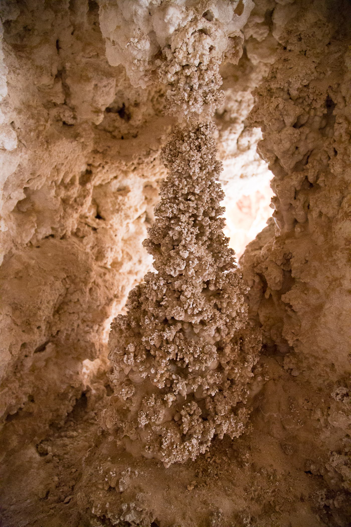 37-IMG_4237