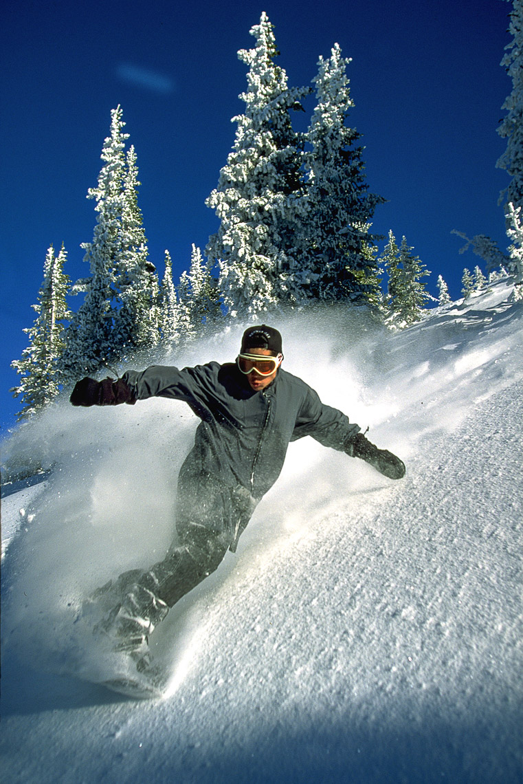 newbrightonboarder